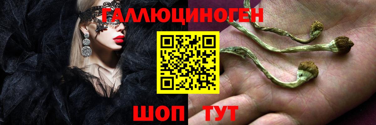 Галлюциногенные грибы Psilocybine cubensis Сорочинск